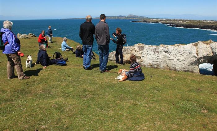 Group on cliff top on guided walk, Rhoscolyn